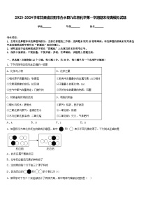 2023-2024学年甘肃省庆阳市合水县九年级化学第一学期期末经典模拟试题含答案