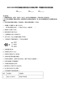 2023-2024学年甘肃省庆阳市名校九年级化学第一学期期末综合测试试题含答案