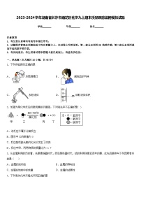 2023-2024学年湖南省长沙市雨花区化学九上期末质量跟踪监视模拟试题含答案