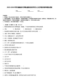 2023-2024学年湖南省长沙麓山国际实验学校九上化学期末联考模拟试题含答案