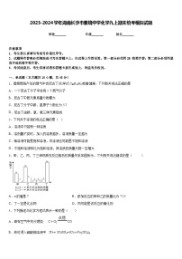 2023-2024学年湖南长沙市雅境中学化学九上期末统考模拟试题含答案