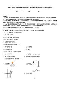 2023-2024学年湖南长沙青竹湖九年级化学第一学期期末达标检测试题含答案