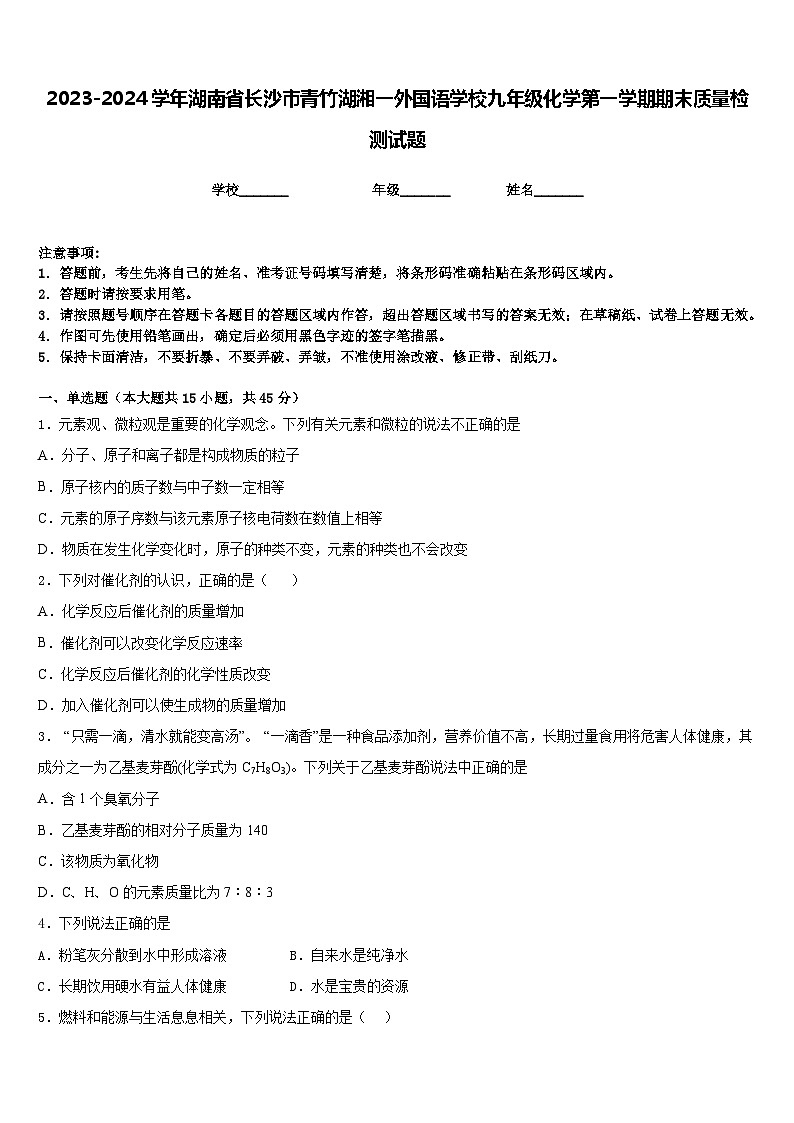 2023-2024学年湖南省长沙市青竹湖湘一外国语学校九年级化学第一学期期末质量检测试题含答案01