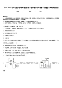 2023-2024学年湖南长沙市芙蓉区铁路一中学化学九年级第一学期期末调研模拟试题含答案