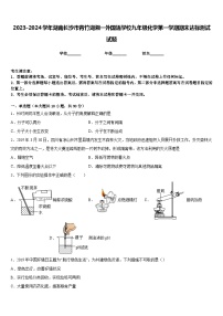 2023-2024学年湖南长沙市青竹湖湘一外国语学校九年级化学第一学期期末达标测试试题含答案