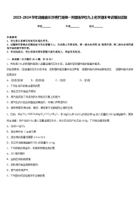 2023-2024学年湖南省长沙青竹湖湘一外国语学校九上化学期末考试模拟试题含答案