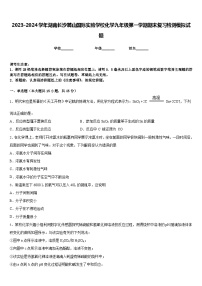 2023-2024学年湖南长沙麓山国际实验学校化学九年级第一学期期末复习检测模拟试题含答案