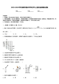 2023-2024学年湖州市重点中学化学九上期末监测模拟试题含答案