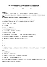 2023-2024学年玉树市重点中学九上化学期末达标检测模拟试题含答案