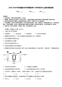 2023-2024学年湖南长沙市芙蓉区第十六中学化学九上期末预测试题含答案