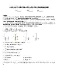 2023-2024学年漯河市重点中学九上化学期末质量跟踪监视试题含答案