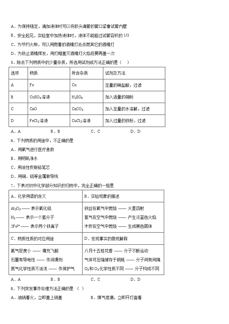 2023-2024学年湖南长沙市岳麓区九年级化学第一学期期末检测模拟试题含答案02