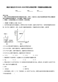 黑龙江省牡丹江市2023-2024学年九年级化学第一学期期末监测模拟试题含答案