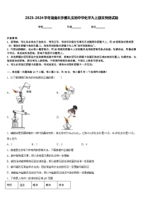 2023-2024学年湖南长沙雅礼实验中学化学九上期末预测试题含答案