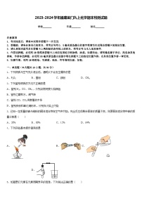 2023-2024学年福建厦门九上化学期末检测试题含答案