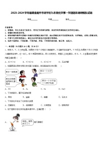 2023-2024学年福建省南平市延平区九年级化学第一学期期末调研模拟试题含答案