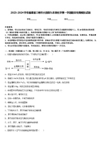 2023-2024学年福建省三明市大田县九年级化学第一学期期末经典模拟试题含答案