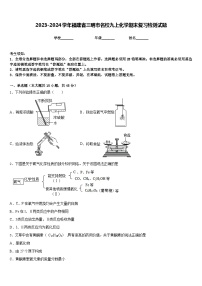 2023-2024学年福建省三明市名校九上化学期末复习检测试题含答案