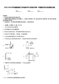 2023-2024学年福建省厦门市凤南中学九年级化学第一学期期末综合测试模拟试题含答案