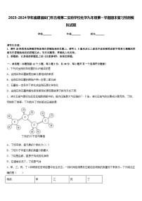 2023-2024学年福建省厦门市五缘第二实验学校化学九年级第一学期期末复习检测模拟试题含答案