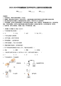 2023-2024学年福建省厦门五中学化学九上期末综合测试模拟试题含答案