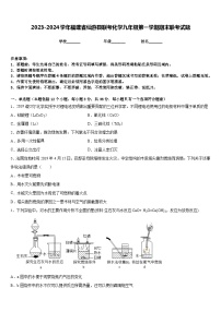 2023-2024学年福建省仙游县联考化学九年级第一学期期末联考试题含答案