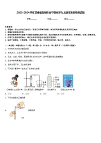 2023-2024学年甘肃省白银市会宁县化学九上期末质量检测试题含答案