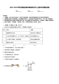 2023-2024学年甘肃省白银市靖远县化学九上期末考试模拟试题含答案