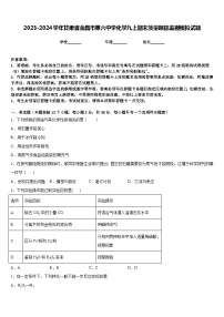 2023-2024学年甘肃省金昌市第六中学化学九上期末质量跟踪监视模拟试题含答案