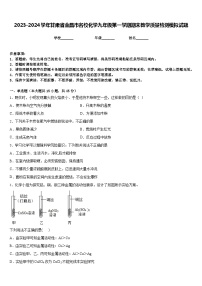 2023-2024学年甘肃省金昌市名校化学九年级第一学期期末教学质量检测模拟试题含答案