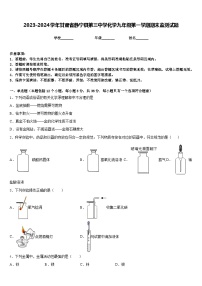 2023-2024学年甘肃省静宁县第三中学化学九年级第一学期期末监测试题含答案