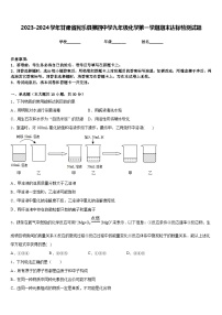 2023-2024学年甘肃省民乐县第四中学九年级化学第一学期期末达标检测试题含答案