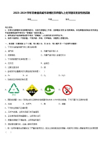 2023-2024学年甘肃省武威市凉州区洪祥镇九上化学期末质量检测试题含答案