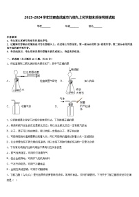 2023-2024学年甘肃省武威市九级九上化学期末质量检测试题含答案