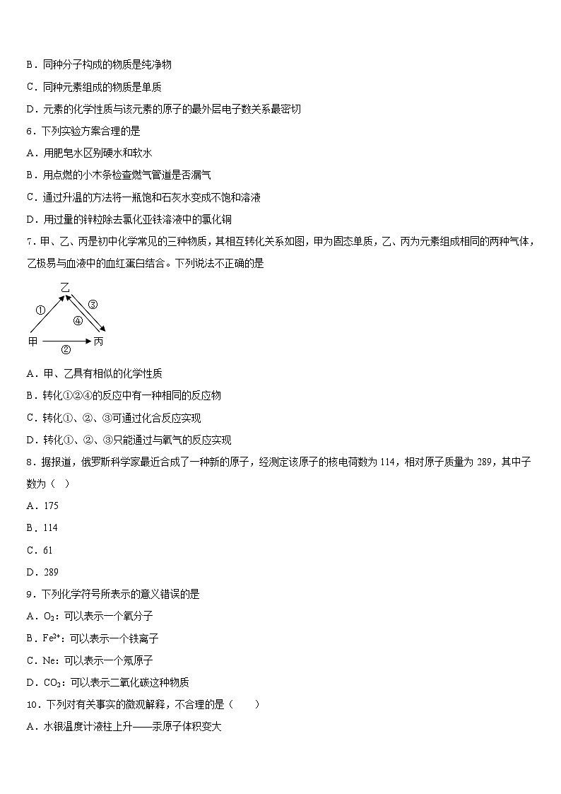 2023-2024学年甘肃省张掖市临泽二中学、三中学、四中学化学九年级第一学期期末监测模拟试题含答案02