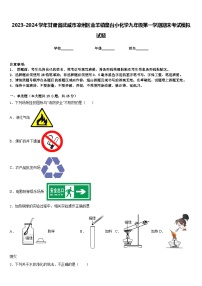 2023-2024学年甘肃省武威市凉州区金羊镇皇台小化学九年级第一学期期末考试模拟试题含答案