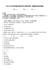 2023-2024学年石嘴山市重点中学九年级化学第一学期期末综合测试试题含答案