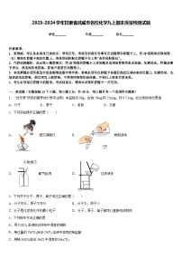 2023-2024学年甘肃省武威市名校化学九上期末质量检测试题含答案