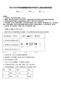 2023-2024学年甘肃省陇南市第五中学化学九上期末达标检测试题含答案