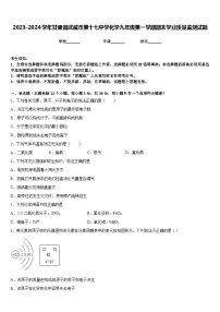 2023-2024学年甘肃省武威市第十七中学化学九年级第一学期期末学业质量监测试题含答案