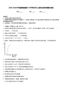 2023-2024学年福建省福州十八中学化学九上期末达标检测模拟试题含答案