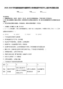 2023-2024学年福建省福州市福建师范大泉州附属中学化学九上期末考试模拟试题含答案