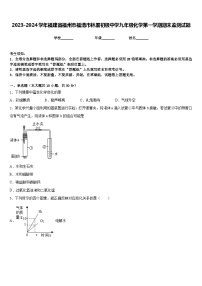 2023-2024学年福建省福州市福清市林厝初级中学九年级化学第一学期期末监测试题含答案