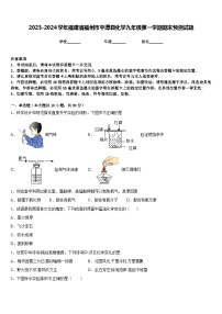 2023-2024学年福建省福州市平潭县化学九年级第一学期期末预测试题含答案