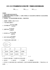 2023-2024学年福建省各地九年级化学第一学期期末达标检测模拟试题含答案