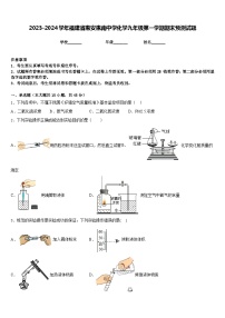 2023-2024学年福建省惠安惠南中学化学九年级第一学期期末预测试题含答案