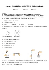 2023-2024学年福建省宁德市名校化学九年级第一学期期末经典模拟试题含答案