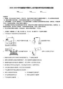 2023-2024学年福建省平潭县九上化学期末教学质量检测模拟试题含答案