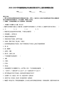 2023-2024学年福建省泉山市台商投资区化学九上期末调研模拟试题含答案