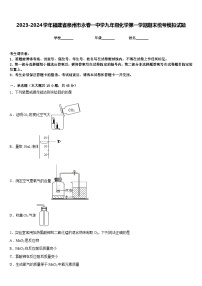 2023-2024学年福建省泉州市永春一中学九年级化学第一学期期末统考模拟试题含答案